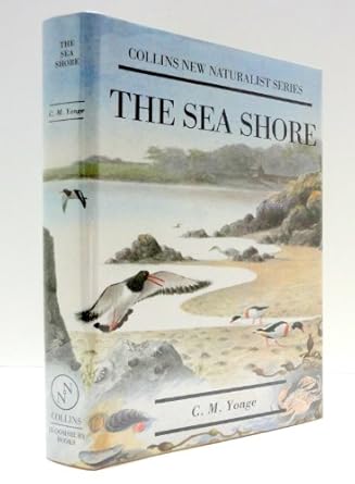the sea shore 1st edition c m yonge 1870630246, 978-1870630245