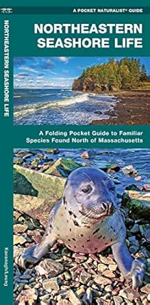 northeastern seashore life a folding pocket guide to familiar coastal species north of massachusetts 1st
