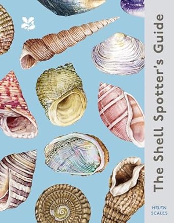 the shell spotters guide 1st edition dr helen scales 0008641315, 978-0008641313