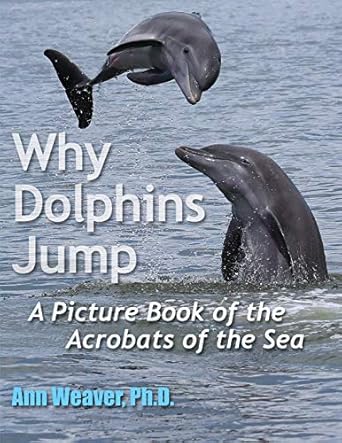 why dolphins jump a picture book of the acrobats of the sea 1st edition ann weaver 0578652420, 978-0578652429