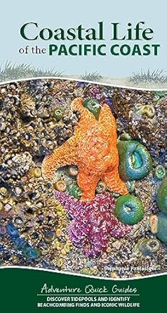 coastal life of the pacific coast discover tidepools and identify beachcombing finds and iconic wildlife 1st