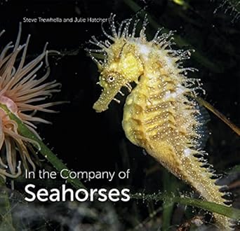 in the company of seahorses 1st edition steve trewhella ,julie hatcher 0995567328, 978-0995567320