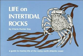 life on intertidal rocks a guide to the marine life of the rocky north atlantic coast 1st edition cherie