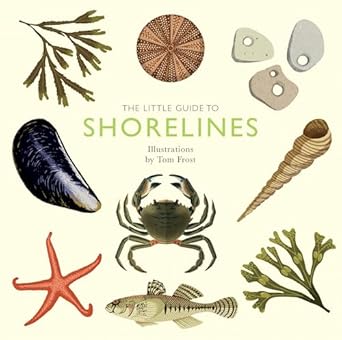 the little guide to shorelines 1st edition alison davies ,tom frost 178713959x, 978-1787139596
