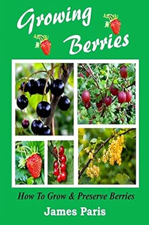 growing berries how to grow and preserve berries strawberries raspberries blackberries blueberries