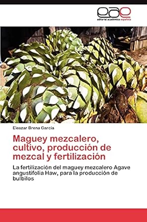 maguey mezcalero cultivo produccion de mezcal y fertilizacion la fertilizacion del maguey mezcalero agave