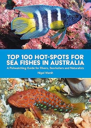 top 100 hot spots for sea fishes in australia a fishwatching guide for divers snorkelers and naturalists 1st