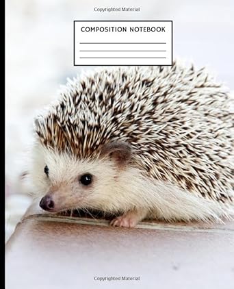 composition notebook hedgehog wide ruled journal diary or sketchbook notebook for kids students and teens