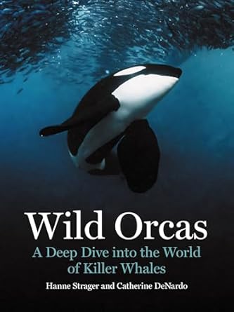 wild orcas a deep dive into the world of killer whales 1st edition hanne strager ,catherine denardo