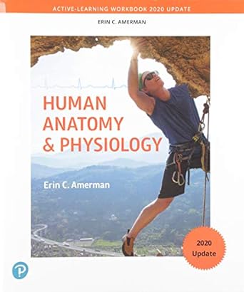 active learning workbook for human anatomy and physiology 1st edition erin amerman 0135643309, 978-0135643303