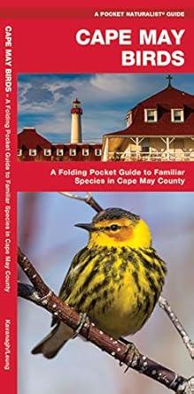 cape may birds a folding pocket guide to familiar species in cape may county 1st edition james kavanagh