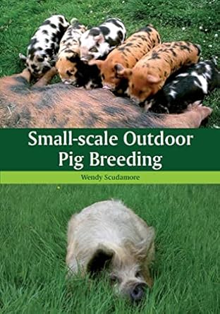 small scale outdoor pig breeding 1st edition wendy scudamore 1847973078, 978-1847973078