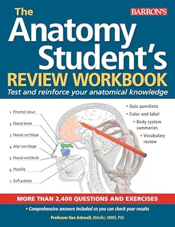 anatomy students review workbook test and reinforce your anatomical knowledge 1st edition barron's