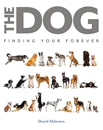 the dog finding your forever 1st edition david alderton 0785838252, 978-0785838258
