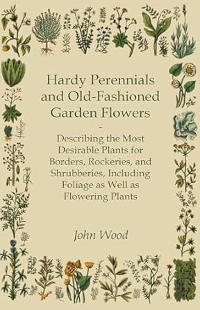 hardy perennials and old fashioned garden flowers describing the most desirable plants for borders rockeries