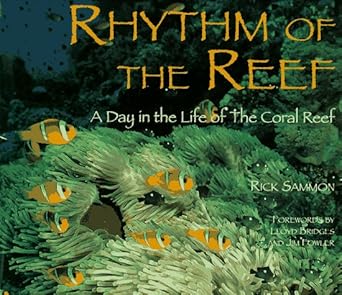 rhythm of the reef a day in the life of the coral reef 1st edition rick sammon 0896583112, 978-0896583115