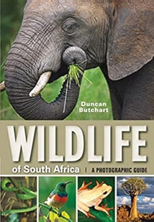 wildlife of south africa a photographic guide 1st edition duncan butchart 1770076328, 978-1770076327