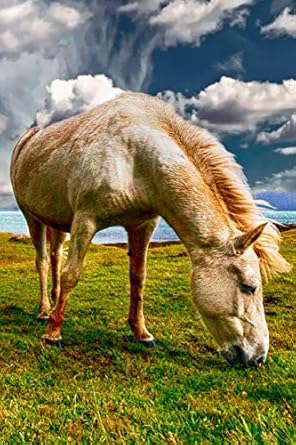 horse cool personalised travel journal diary planner cute and unique travel journals composition notebook 1st