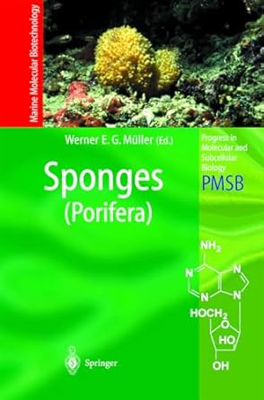 sponges 1st edition werner e g muller 354000968x, 978-3540009689