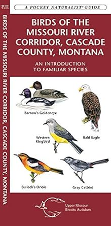 birds of the missouri river corridor cascade county montana an introduction to familiar species guide 1st