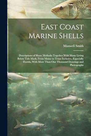 east coast marine shells descriptions of shore mollusks together with many living below tide mark from maine