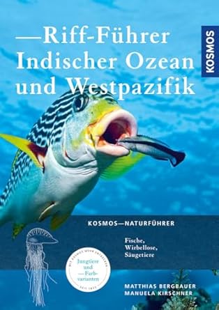 riff fuhrer indischer ozean und westpazifik 1st edition matthias bergbauer ,manuela kirschner 344015355x,