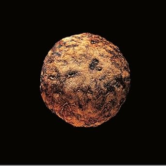 seeds and tales 1st edition mirna wabi sabi ,riccardo riccio ,matheus araujo prates pockstaller 6585267052,