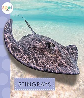 stingrays 1st edition mari schuh 1681524198, 978-1681524191