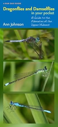 dragonflies and damselflies in your pocket a guide to the odonates of the upper midwest 1st edition ann