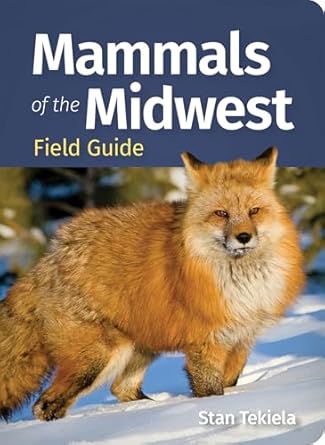 mammals of the midwest field guide 1st edition stan tekiela 1647555914, 978-1647555917