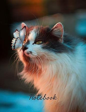 notebook adorable picture of a butterfly kissing a cat this book is for writing in drawing in or doodling in