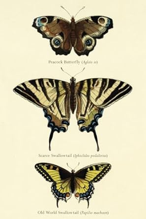 moths and butterflies journal lined notebook 1st edition savanna redman 1945517506, 978-1945517501