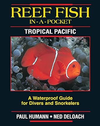 reef fish in a pocket tropical pacific 1st edition paul humann 1878348213, 978-1878348210