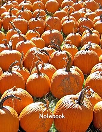 notebook large blank lined notebook with pumpkin patch cover college ruled 120 pages 8 5x11 1st edition