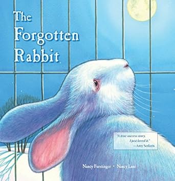 the forgotten rabbit 1st edition nancy furstinger ,nancy lane 0940719193, 978-0940719194