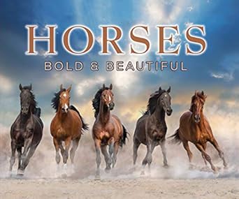 horses bold and beautiful 1st edition publications international ltd 1640307370, 978-1640307377