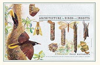 architecture by birds and insects a natural art 1st edition peggy macnamara ,david quammen ,john bates ,james