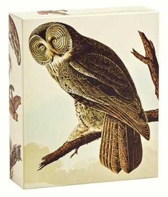 teneues quicknotes audubon owls notecards 20 full color notecards 20 classic white envelopes 4 designs 5