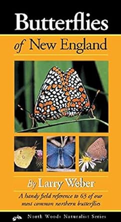 butterflies of new england 1st edition larry weber 0967379326, 978-0967379326