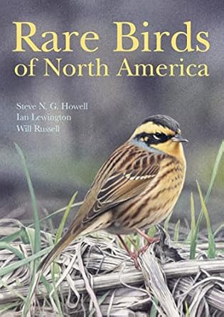 rare birds of north america 1st edition steve n g howell ,ian lewington ,will russell 0691117969,