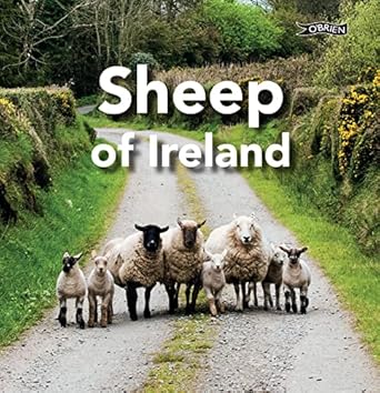 sheep of ireland 1st edition sarah o'connor ,the o'brien press 1788494180, 978-1788494182
