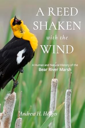 a reed shaken with the wind a human and natural history of the bear river marsh 1st edition andrew h hedges