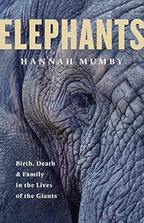 the elephant in the mirror 1st edition dr hannah mumby 0008331677, 978-0008331672