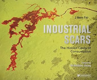 industrial scars the hidden costs of consumption 1st edition j henry fair 1906506612, 978-1906506612