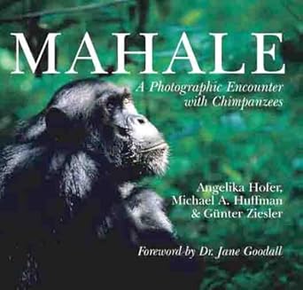 mahale a photographic encounter with chimpanzees 1st edition angelika hoffer ,michael huffman ,gunter ziesler