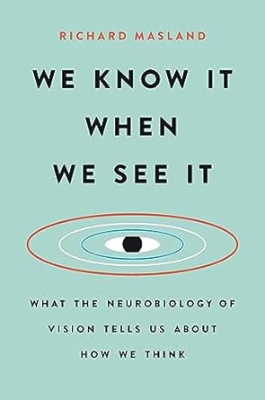 we know it when we see it what the neurobiology of vision tells us about how we think 1st edition richard