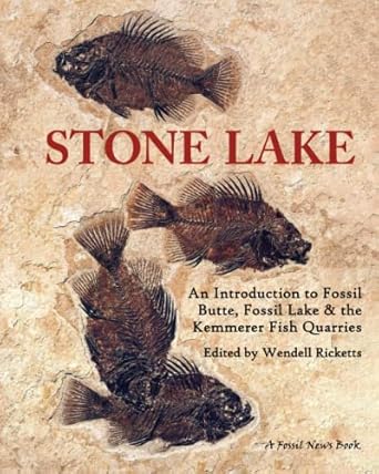 stone lake an introduction to fossil butte fossil lake and the kemmerer fish quarries 1st edition wendell