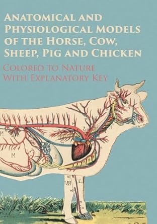 anatomical and physiological models of the horse cow sheep pig and chicken colored to nature with explanatory