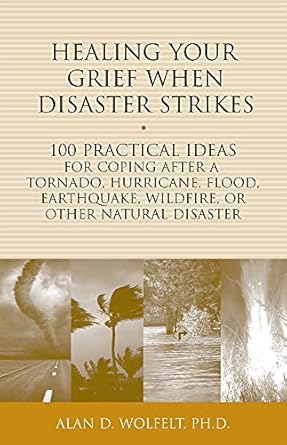 healing your grief when disaster strikes 100 practical ideas for coping after a tornado hurricane flood