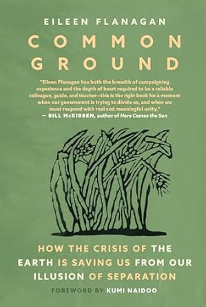 common ground how the crisis of the earth is saving us from our illusion of separation 1st edition eileen